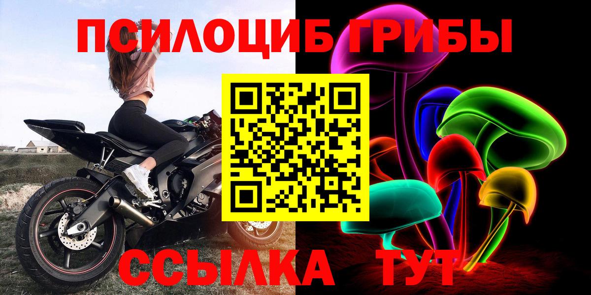 Псилоцибиновые грибы Psilocybine cubensis  Вход с VPN  Армавир 